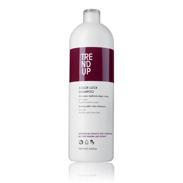 Шампунь для збереження кольору TREND UP COLOR LOCK SHAMPOO 1000ml 0302 фото