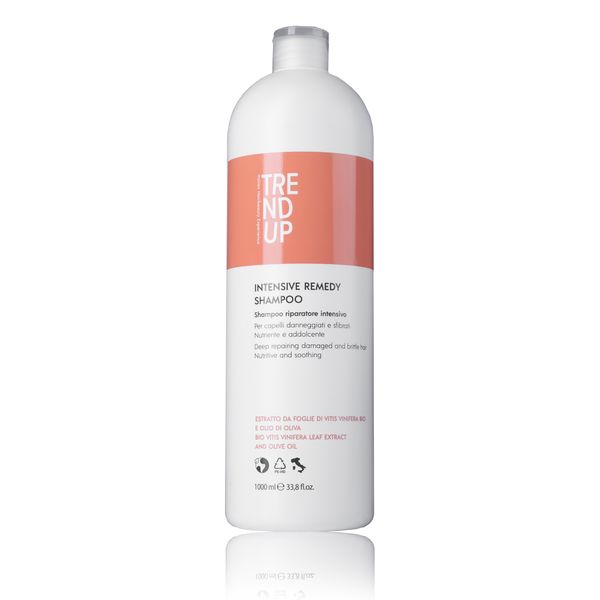 Шампунь для відновлення пошкодженого волосся TREND UP INTENSIVE REMEDY SHAMPOO 1000ml 0304 фото